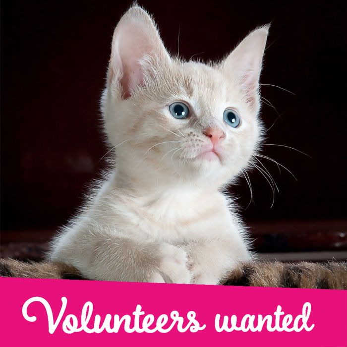 volunteers-wanted