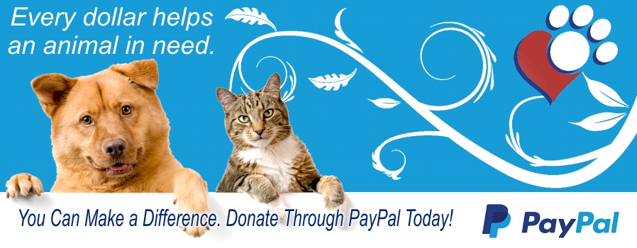 Donate Using PayPal